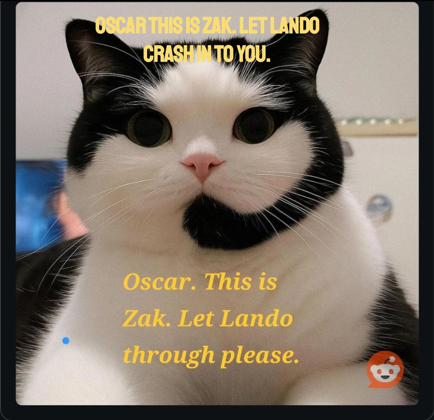 OSCAR TEAM RADIO